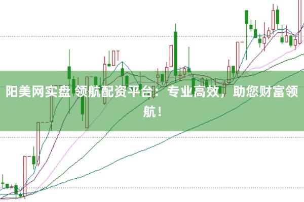 阳美网实盘 领航配资平台：专业高效，助您财富领航！