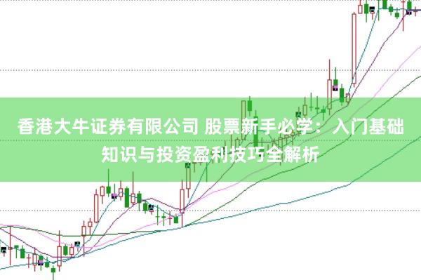 香港大牛证券有限公司 股票新手必学：入门基础知识与投资盈利技巧全解析