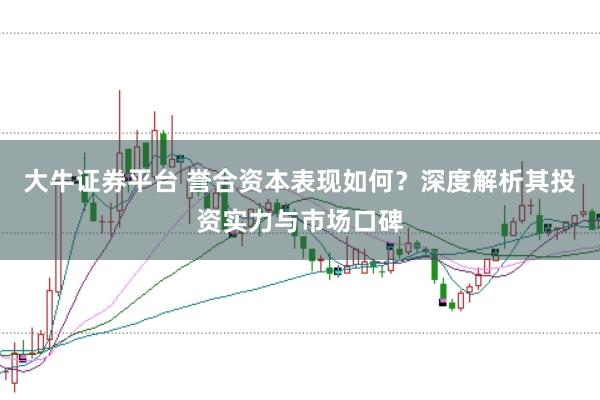 大牛证券平台 誉合资本表现如何？深度解析其投资实力与市场口碑