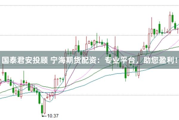 国泰君安投顾 宁海期货配资：专业平台，助您盈利！