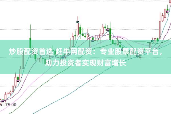 炒股配资首选 赶牛网配资：专业股票配资平台，助力投资者实现财富增长