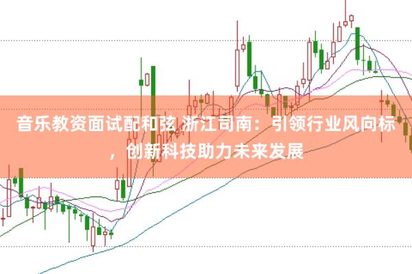 音乐教资面试配和弦 浙江司南：引领行业风向标，创新科技助力未来发展