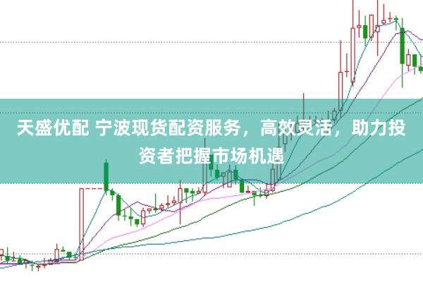 天盛优配 宁波现货配资服务，高效灵活，助力投资者把握市场机遇
