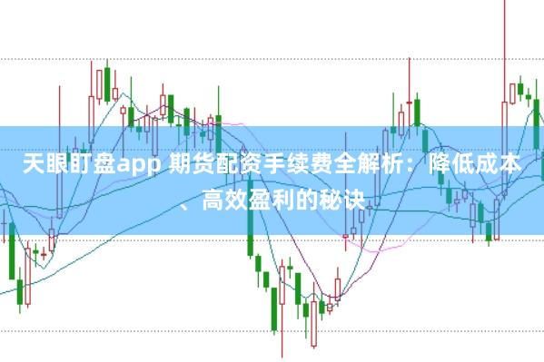 天眼盯盘app 期货配资手续费全解析：降低成本、高效盈利的秘诀