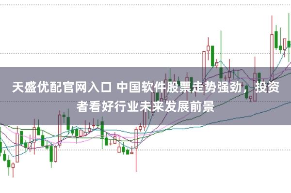 天盛优配官网入口 中国软件股票走势强劲，投资者看好行业未来发展前景