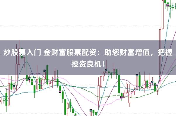 炒股票入门 金财富股票配资：助您财富增值，把握投资良机！