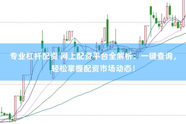 专业杠杆配资 网上配资平台全解析：一键查询，轻松掌握配资市场动态！