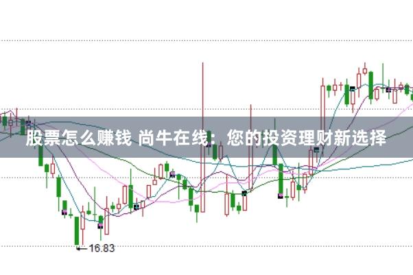 股票怎么赚钱 尚牛在线：您的投资理财新选择