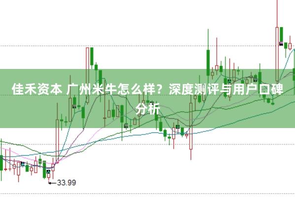 佳禾资本 广州米牛怎么样？深度测评与用户口碑分析