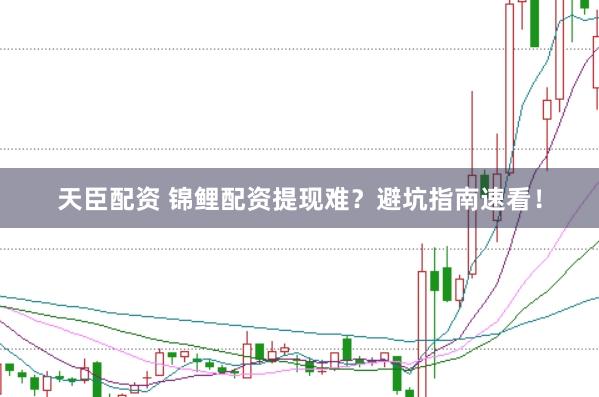 天臣配资 锦鲤配资提现难？避坑指南速看！