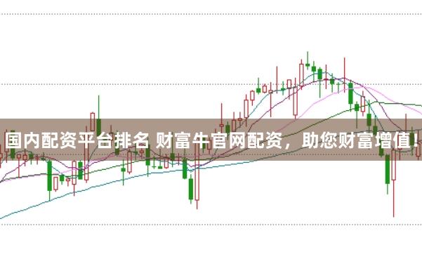 国内配资平台排名 财富牛官网配资，助您财富增值！