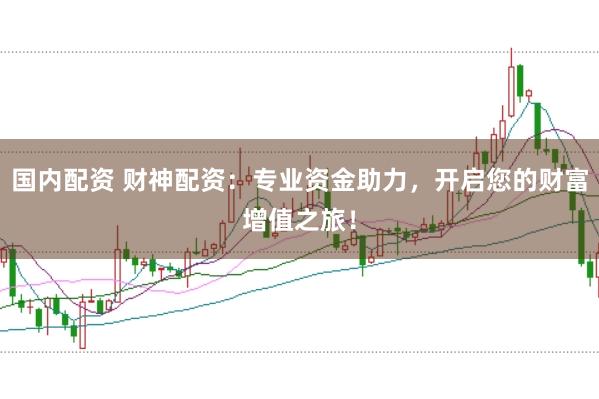 国内配资 财神配资:专业资金助力,开启您的财富增值之旅!